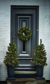 Black Box Trees Glendon krans led werkt op batterijen groen 20L TIPS 72 - d45cm
