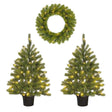 Black Box Trees Nagoya Set van 2 KunstKerstbomen en 1 Kerstkrans voor Buiten - H90 x Ø45 cm - maximondo