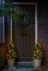 Triumph Tree Empress krans groen frosted TIPS 160 - d60cm