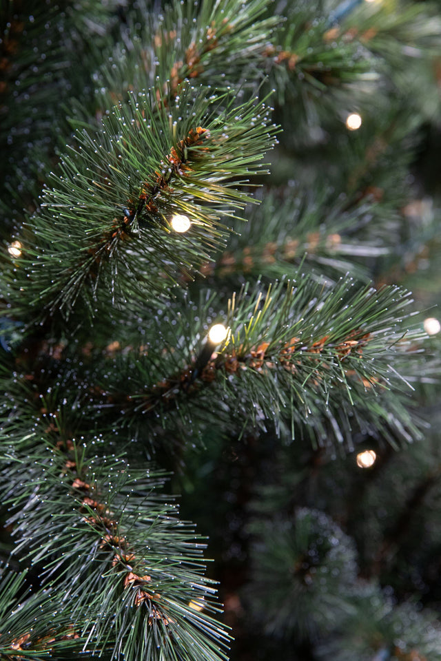 Triumph Tree Forest frosted kerstboom met burlap led groen 48L TIPS 64 - h60xd46cm - maximondo