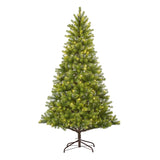 Black Box Trees Nagoya kerstboom led groen 160L TIPS 922 - h180xd108cm