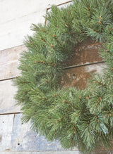 Triumph Tree Forest frosted krans groen TIPS 320 - d90cm