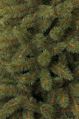 Triumph Tree Bristlecone kerstboom groen TIPS 686 - h185xd119cm