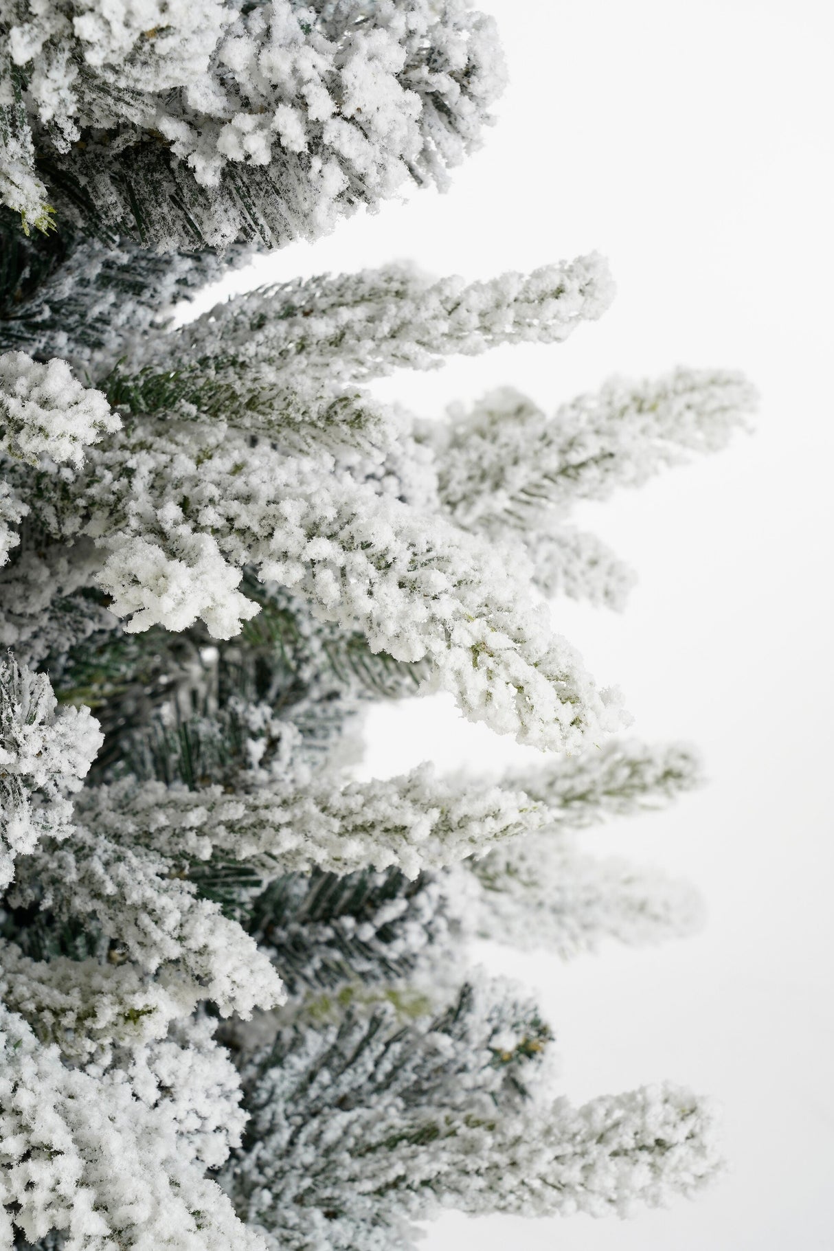 Black Box Trees Grimshaw kerstboom potted groen frosted 120 TIPS - h90xd61cm