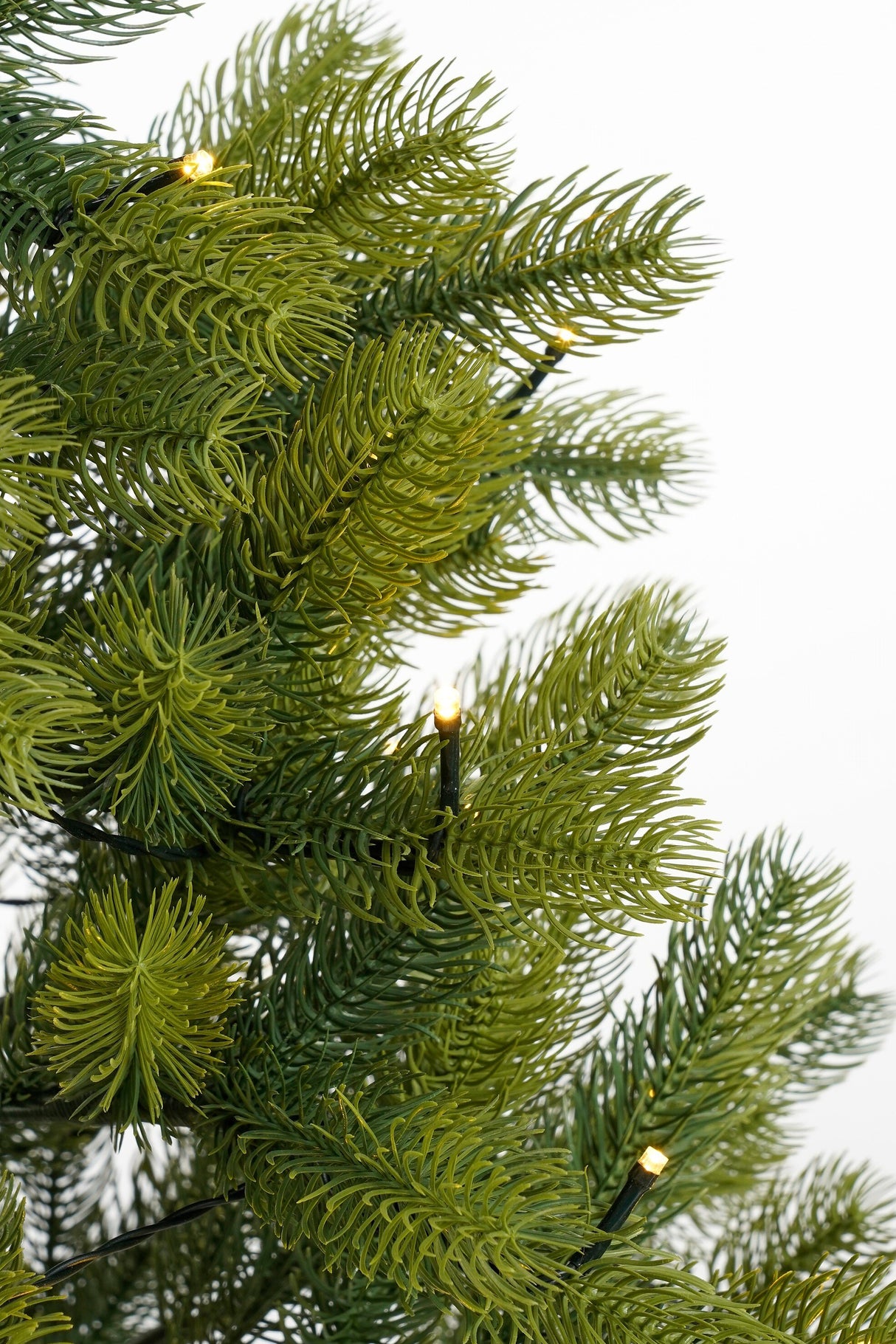 Black Box Trees Nagoya kerstboom potted led groen 50L TIPS 175 battery operated - h90xd55cm