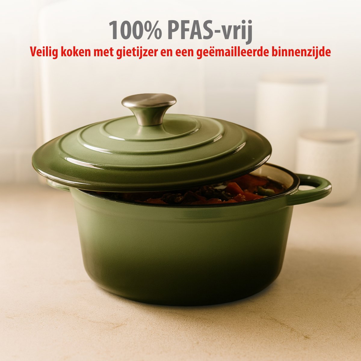 alpina Braadpan – Braadpan Inductie met Deksel 3,8 L Ø 24 cm