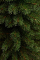 Black Box Trees Sotka Pilar kerstboom groen TIPS 295 - h230xd64cm - maximondo