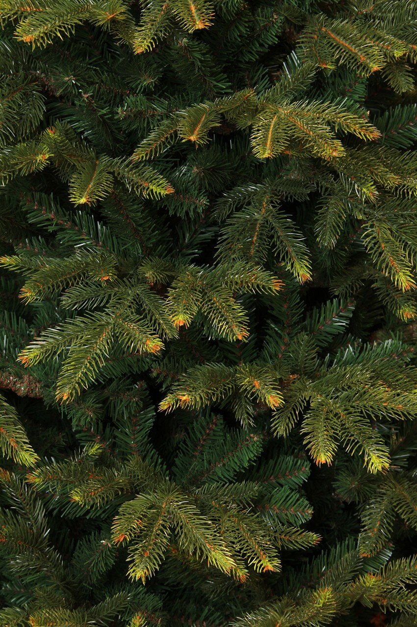 Black Box Trees Frasier kunstkerstboom - H155 x Ø109 cm - maximondo
