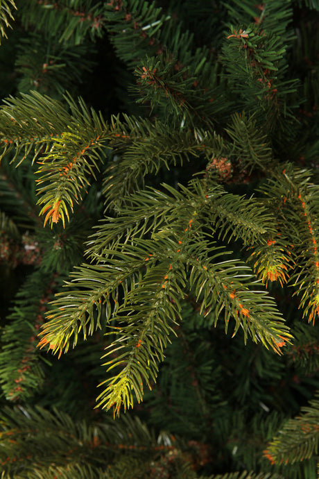 Black Box Trees Frasier kerstboom groen TIPS 2688 - h215xd145cm