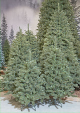 Triumph Tree Forest frosted pine kerstboom groen TIPS 2037 - h260xd168cm - maximondo