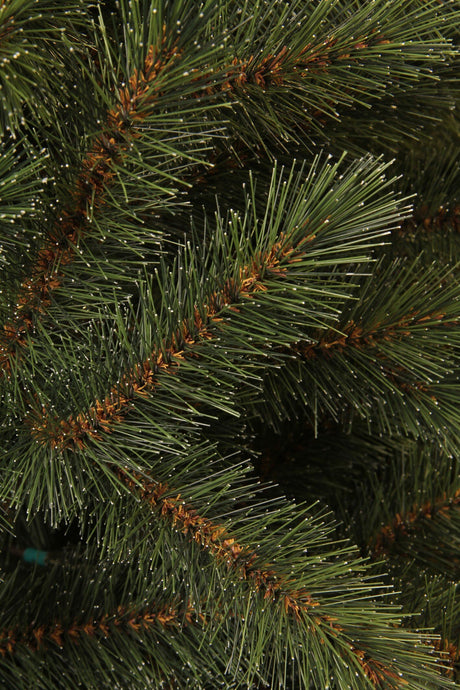 Black Box Trees Toronto kerstboom groen TIPS 511 - h155xd102cm