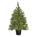Black Box Trees Nigata kerstboom potted groen TIPS 175 - h90xd55cm - maximondo