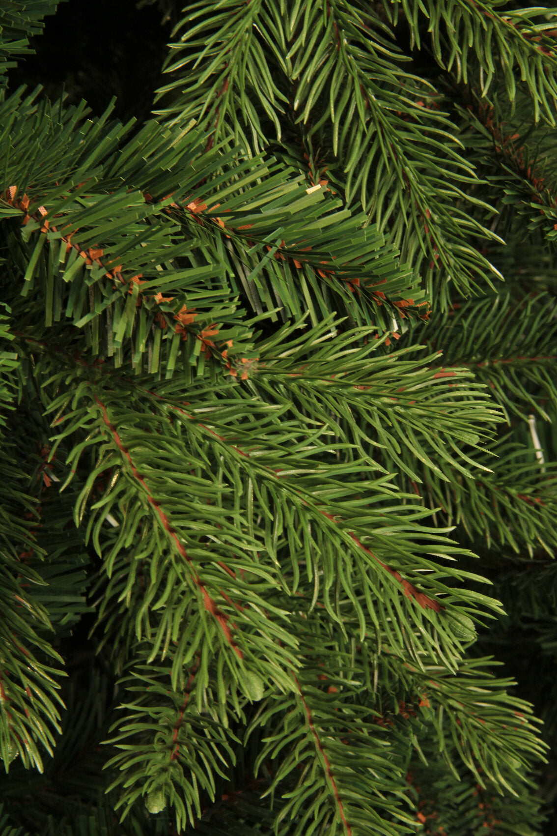 Black Box Trees Brampton kunstkerstboom - H185 x Ø127 cm - maximondo
