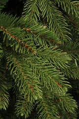 Black Box Trees Brampton kunstkerstboom - H185 x Ø127 cm - maximondo