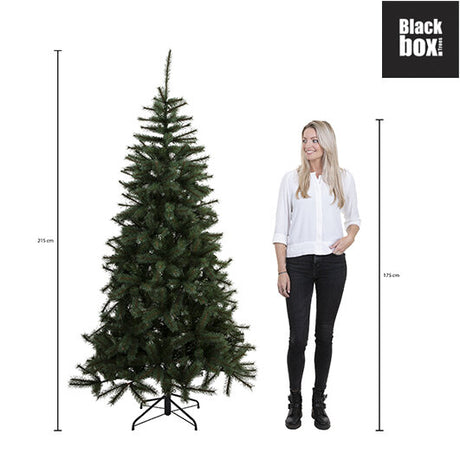 Black Box Trees Charlton kerstboom groen TIPS 805 - h215xd127cm