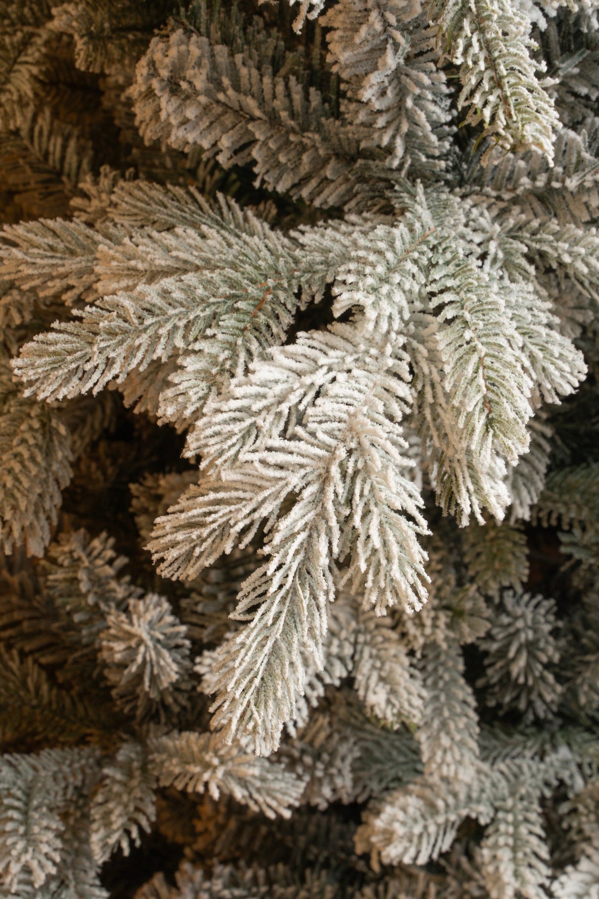 Black Box Trees Grimshaw kerstboom groen frosted TIPS 1564 - h185xd132cm - maximondo
