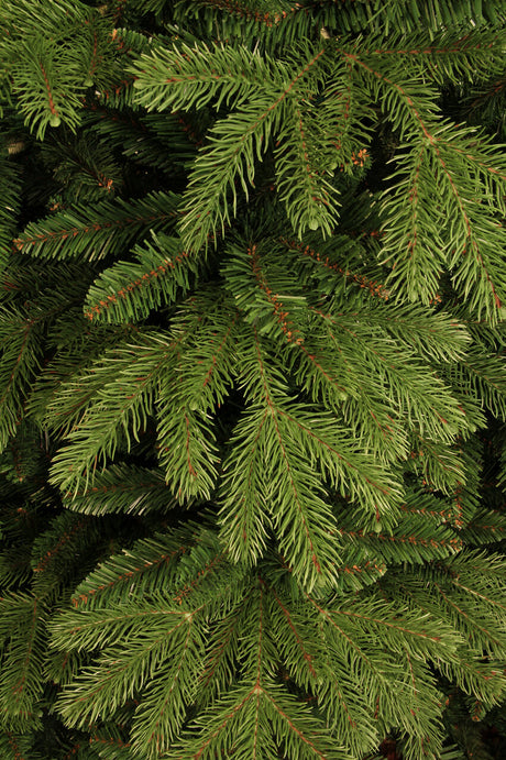 Black Box Trees Brampton kerstboom groen TIPS 684 - h120xd91cm - maximondo