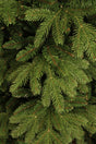 Black Box Trees Brampton kerstboom groen TIPS 684 - h120xd91cm - maximondo