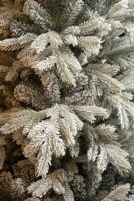 Black Box Trees Grimshaw kerstboom groen frosted TIPS 1564 - h185xd132cm