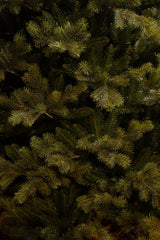 Black Box Trees Clive kerstboom groen TIPS 1342 - h155xd109cm - maximondo