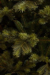Black Box Trees Clive kerstboom groen TIPS 1342 - h155xd109cm - maximondo