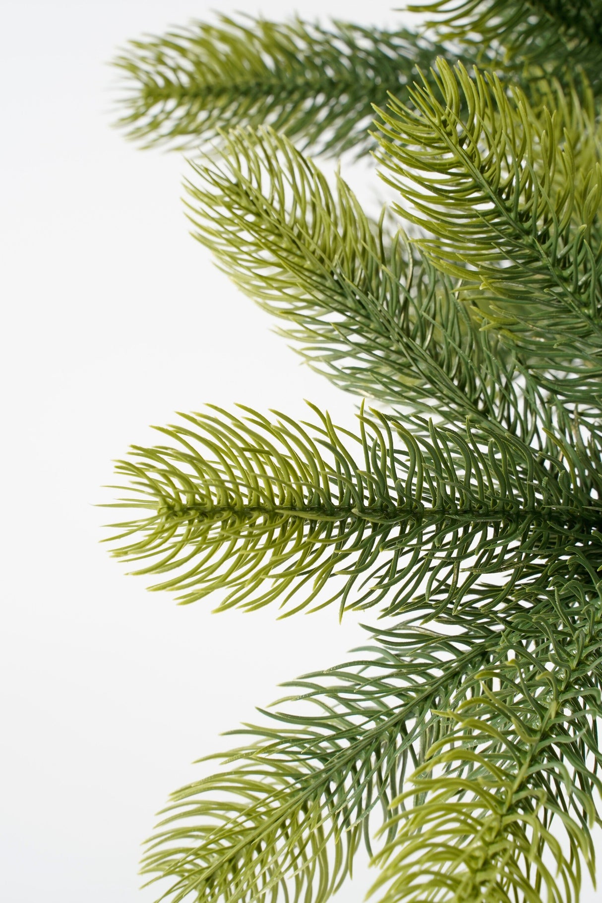 Black Box Trees Nigata kerstboom potted groen TIPS 175 - h90xd55cm - maximondo