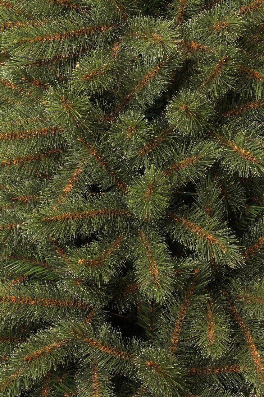 Black Box Trees Toronto kerstboom groen TIPS 511 - h155xd102cm - maximondo
