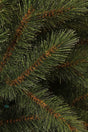 Triumph Tree Bristlecone kerstboom groen TIPS 204 - h120xd79cm - maximondo