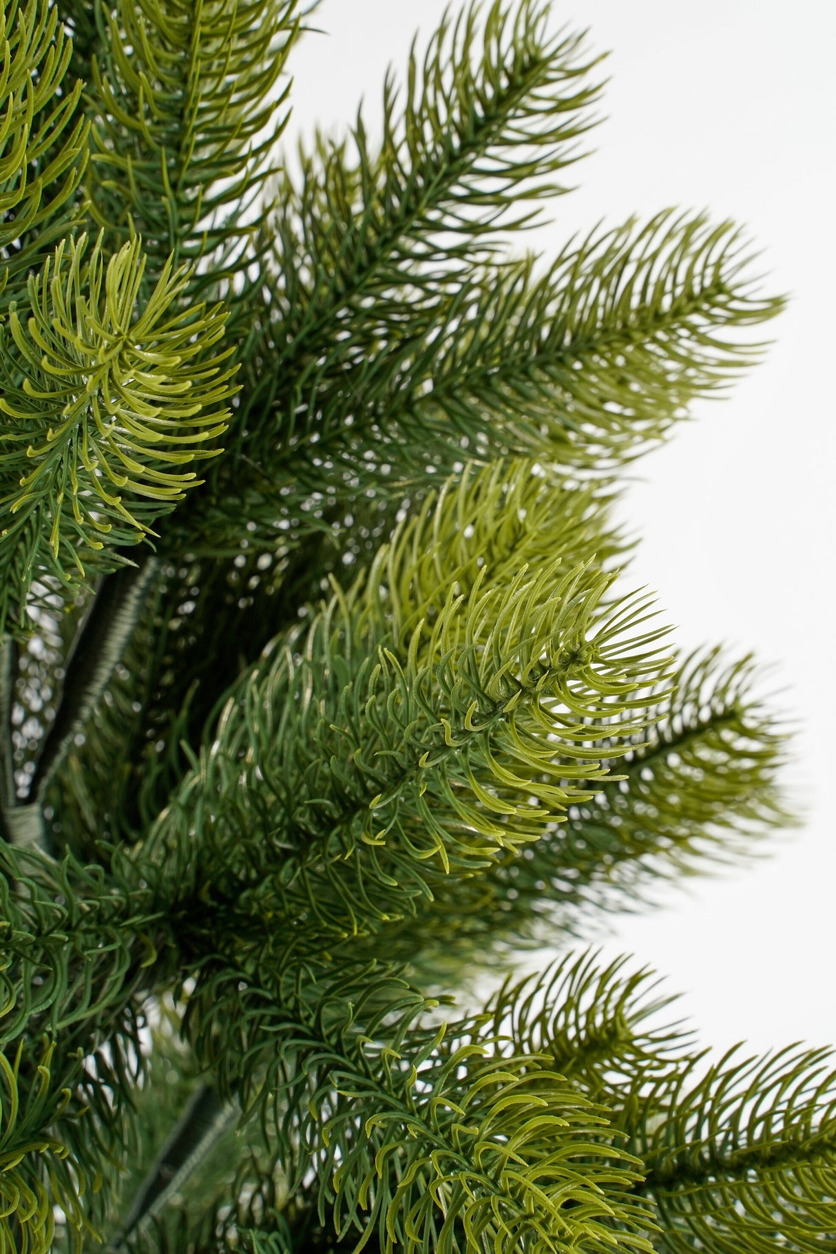 Black Box Trees Nigata kerstboom potted groen TIPS 175 - h90xd55cm - maximondo