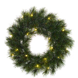 Black Box Trees Glendon krans led werkt op batterijen groen 30L TIPS 100 - d60cm - maximondo