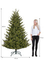 Black Box Trees Clive kerstboom groen TIPS 3106 - h230xd147cm - maximondo