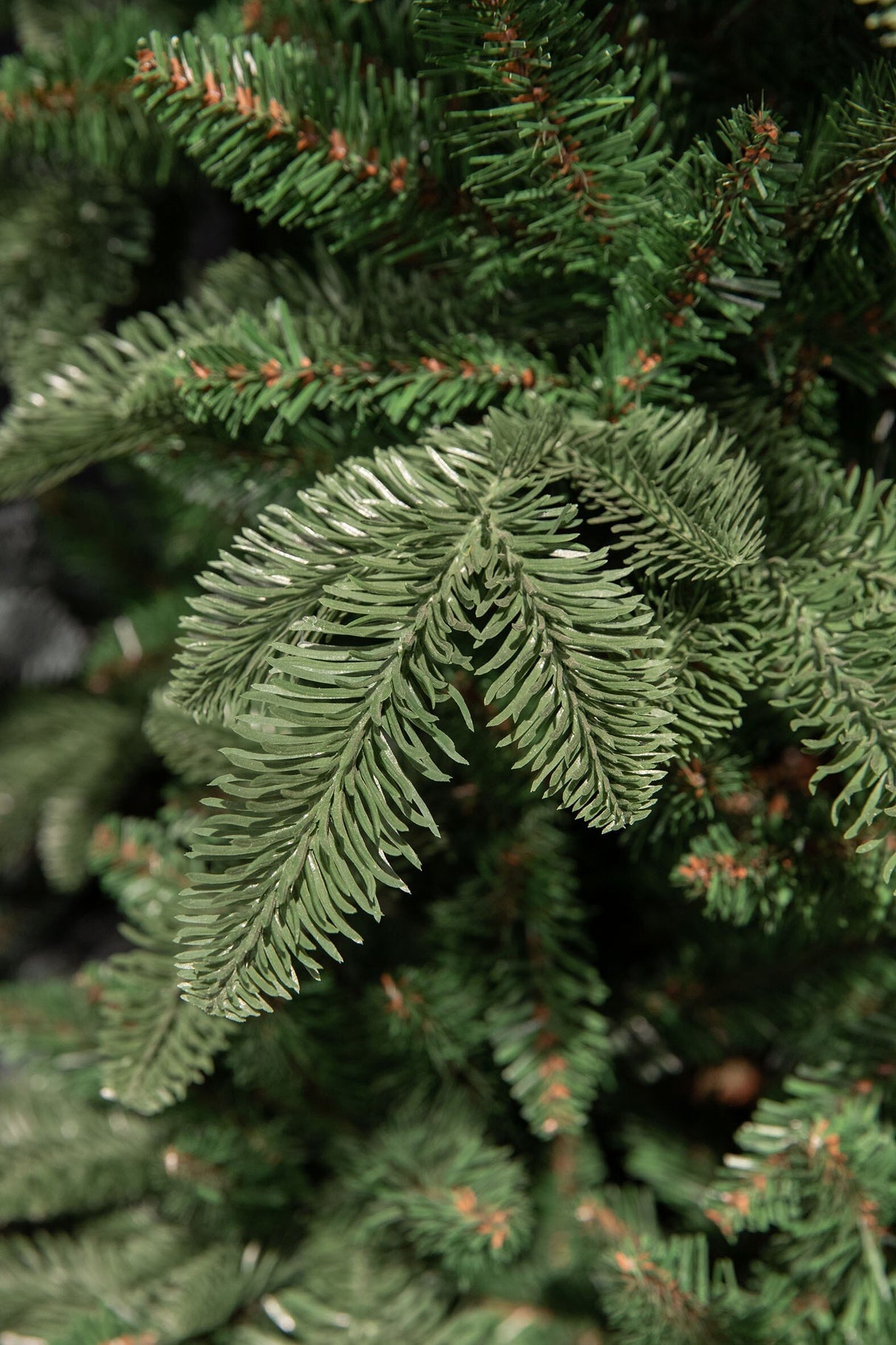 Triumph Tree Abies nordmann krans groen TIPS 208 - d60cm - maximondo