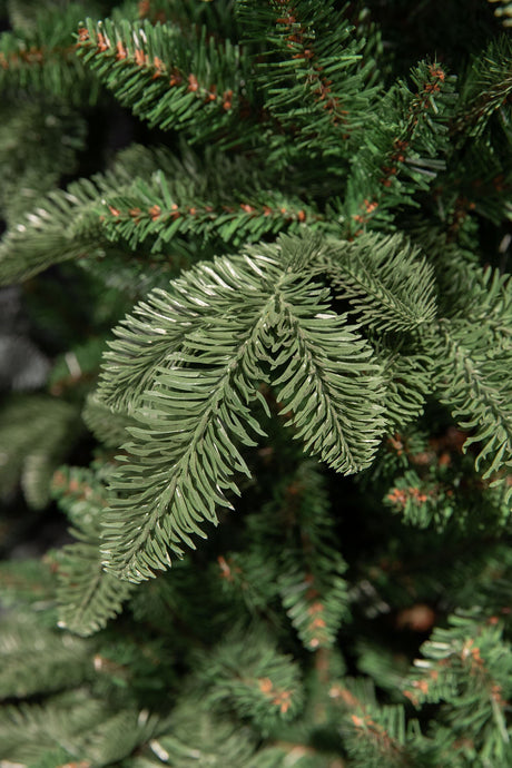 Triumph Tree Abies nordmann krans groen TIPS 208 - d60cm - maximondo