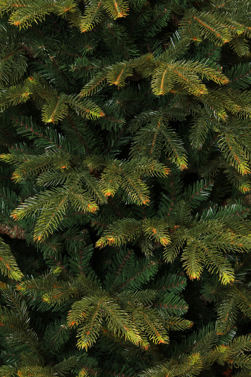 Black Box Trees Frasier kerstboom groen TIPS 2688 - h215xd145cm