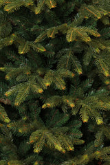 Black Box Trees Frasier kerstboom groen TIPS 2688 - h215xd145cm