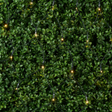 Arti Casa Kerst Netverlichting 6,5m 160 LED