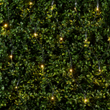 Arti Casa Kerst Netverlichting 6,5m 160 LED